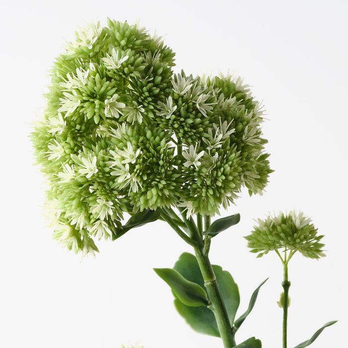 Sedum Flower Spray White Green 77cm Pack of 6