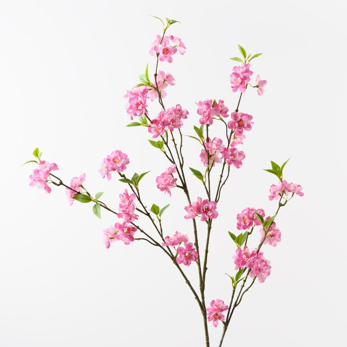 Blossom Apple Fuschia 125cm Pack of 12