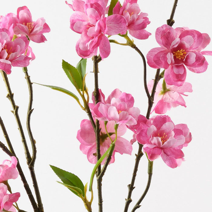 Blossom Apple Fuschia 125cm Pack of 12