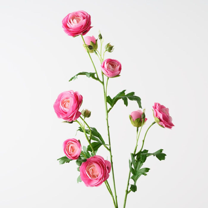 Ranunculus Spray Hot Pink 77cm Pack of 12
