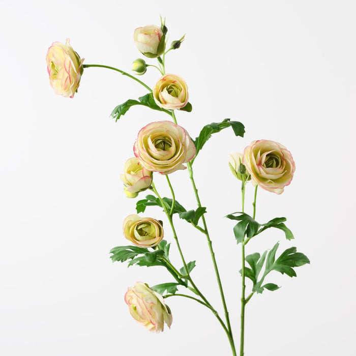 Ranunculus Spray Light Green Mauve 77cm Pack of 12