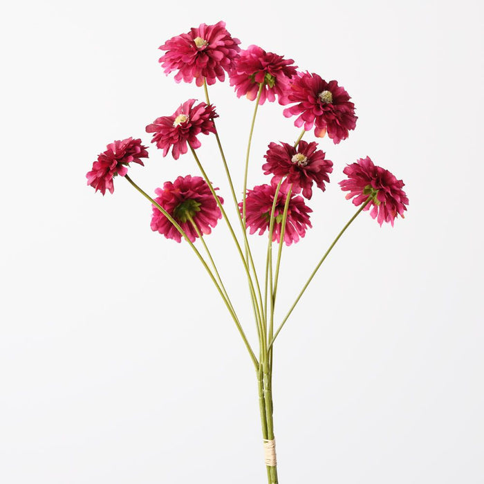 Zinnia Bundle Burgundy 58cm Pack of 12