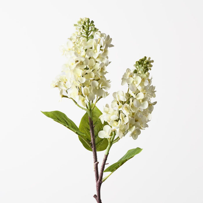 Lilac Spray Cream 67cm Pack of 12