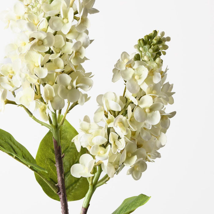 Lilac Spray Cream 67cm Pack of 12