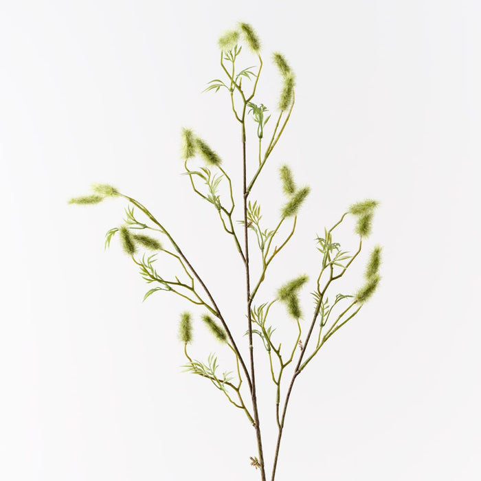Nigella Bud Spray Green 90cm Pack of 12