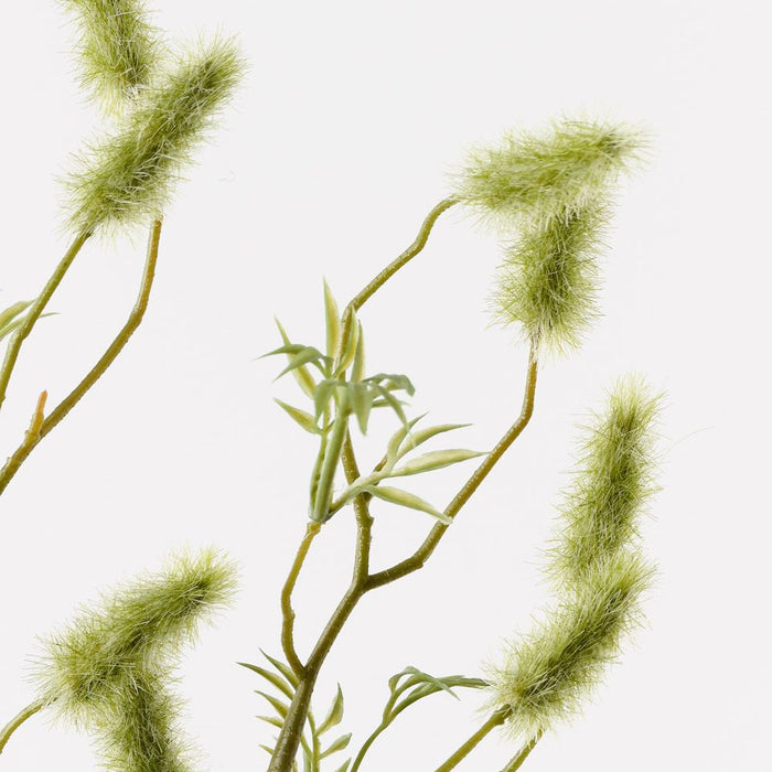 Nigella Bud Spray Green 90cm Pack of 12