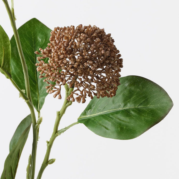 Allium Spray Sand 76cm Pack of 12