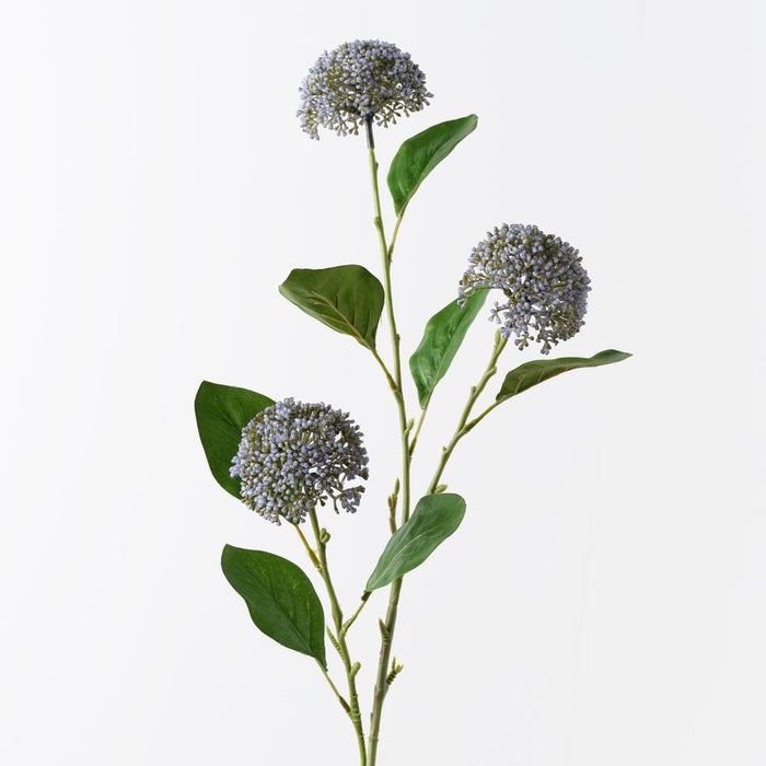 Allium Spray French Blue 76cm Pack of 12