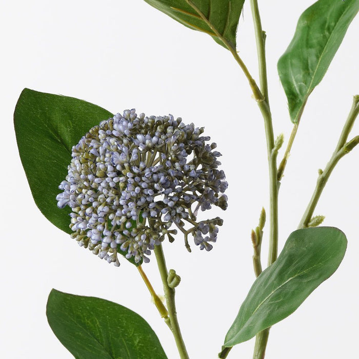Allium Spray French Blue 76cm Pack of 12