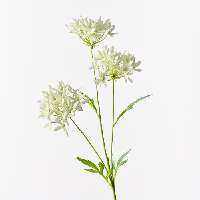 Agapanthus Spray Light Green 71cm Pack of 12