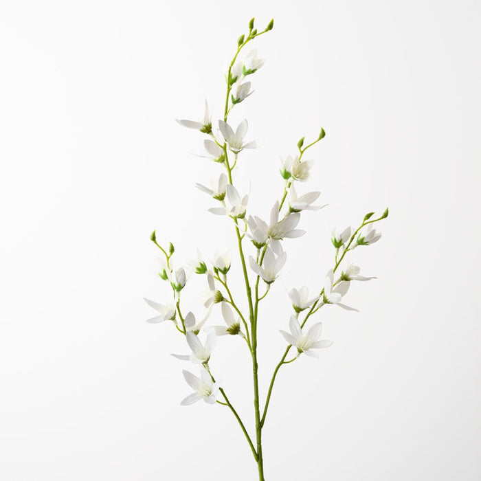Orchid Mini Spray Cream 78cm Pack of 12