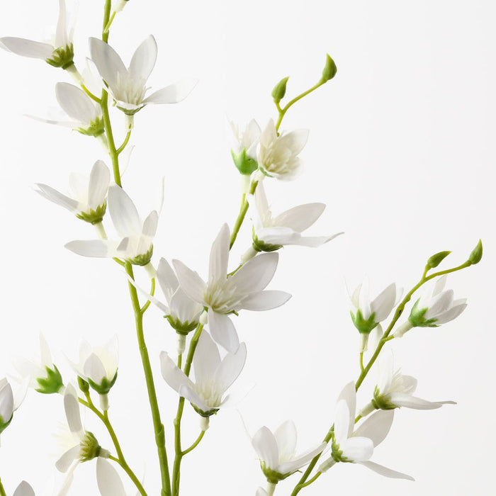 Orchid Mini Spray Cream 78cm Pack of 12