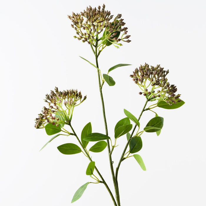 Seed Cluster Spray Brown Green 80cm Pack of 12