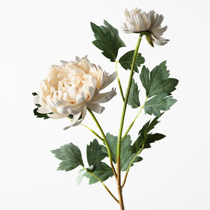 Mum Spray Cream 67cm Pack of 12