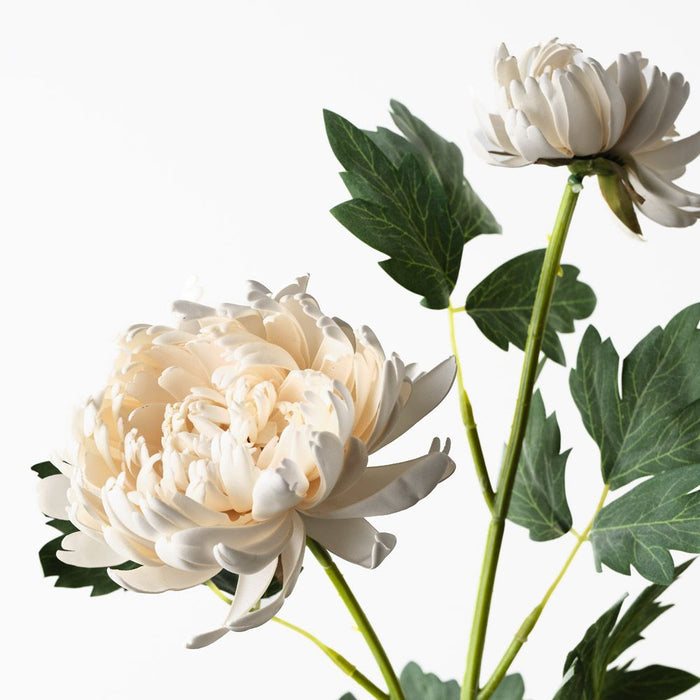 Mum Spray Cream 67cm Pack of 12