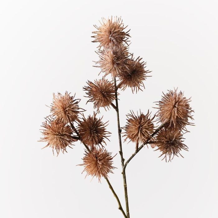 Thistle Globe Spray Coffee 68cm Pack of 12