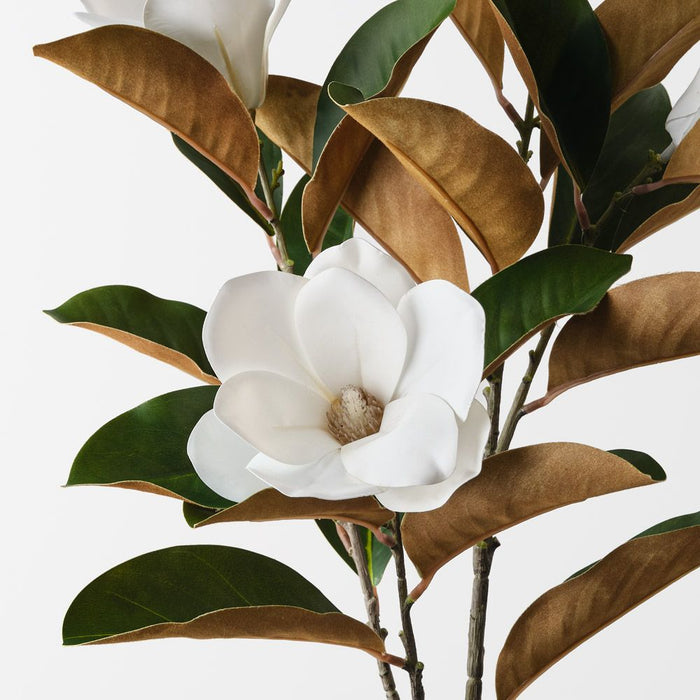 Magnolia Tree Spray White 103cm Pack of 6