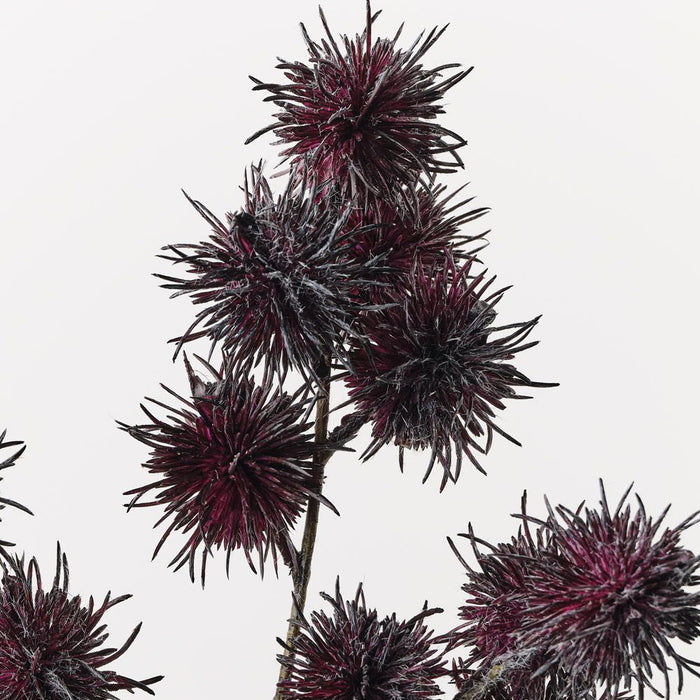 Thistle Globe Spray Plum 68cm Pack of 12