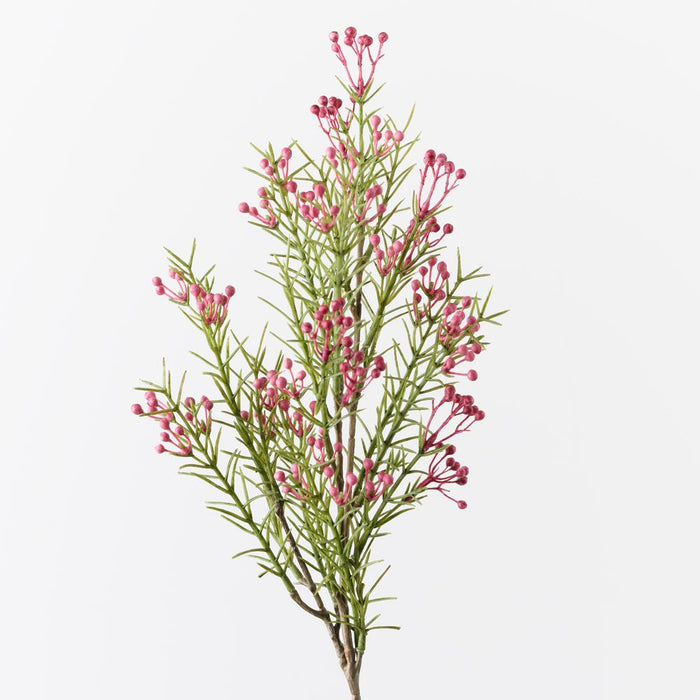 Wax Flower Bud Spray Fuschia 55cm Pack of 12