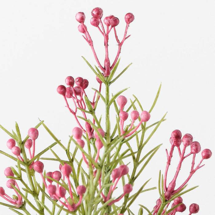 Wax Flower Bud Spray Fuschia 55cm Pack of 12