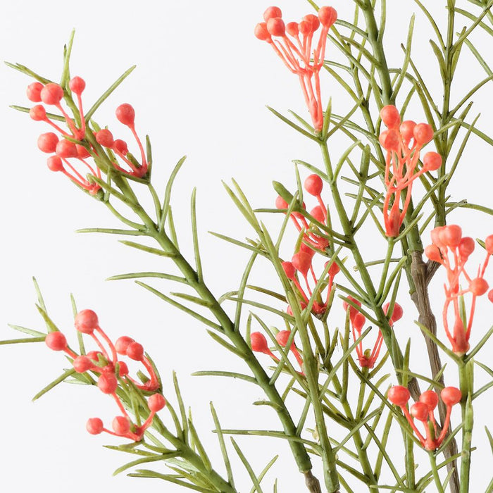 Wax Flower Bud Spray Orange 55cm Pack of 12
