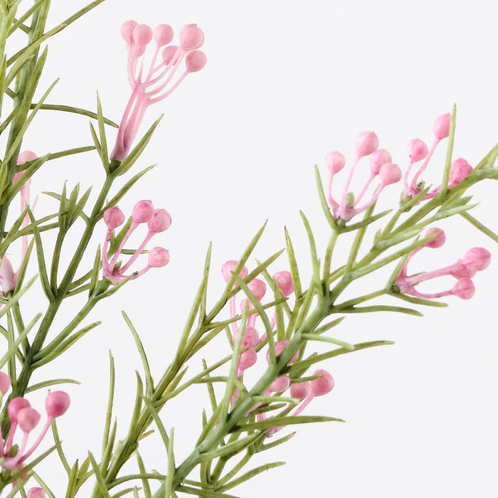 Wax Flower Bud Spray Pink 55cm Pack of 12