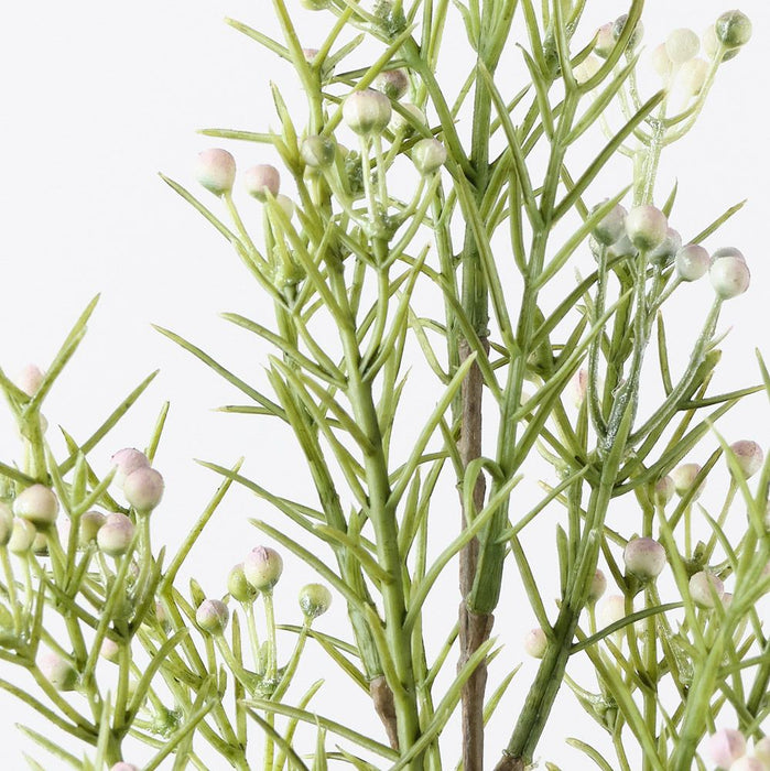 Wax Flower Bud Spray White 55cm Pack of 12