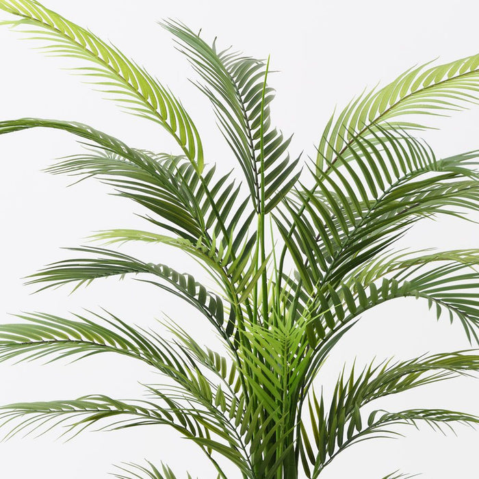 Palm Areca Green 122cm Pack of 2
