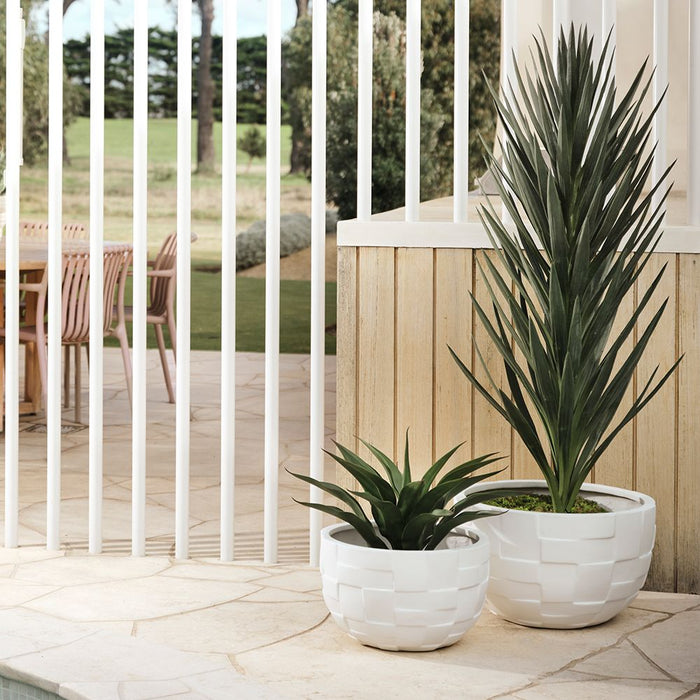 Agave Plant Green 43cm Pack of 2