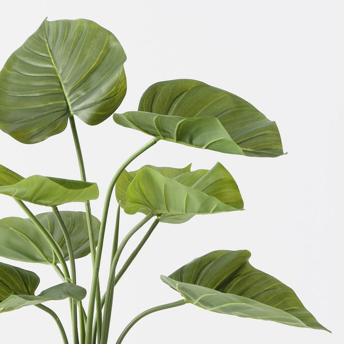 Taro Plant Green 60cm Pack of 2