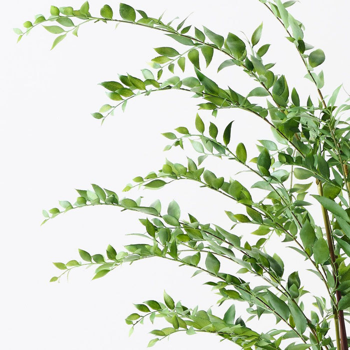 Ruscus Plant Green 122cm Pack of 2
