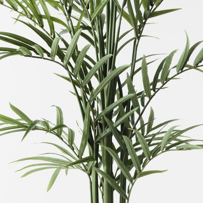 Palm Hawaii Kwai Green 210cm