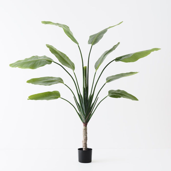 Palm Traveller Green 180cm
