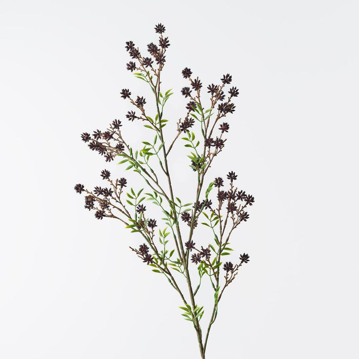 Seed Spray Eggplant 89cm Pack of 12