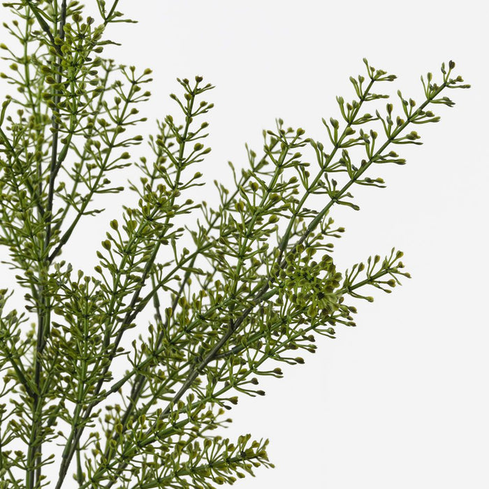 Seed Bush Green 48cm Pack of 12