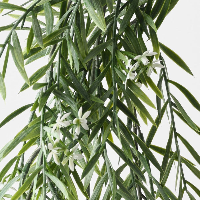 Star Cluster Acacia Hanging Bush Green White 79cm Pack of 12