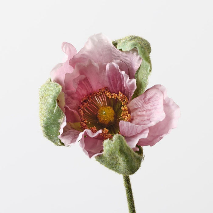 Poppy Bud Lavender 79cm Pack of 12