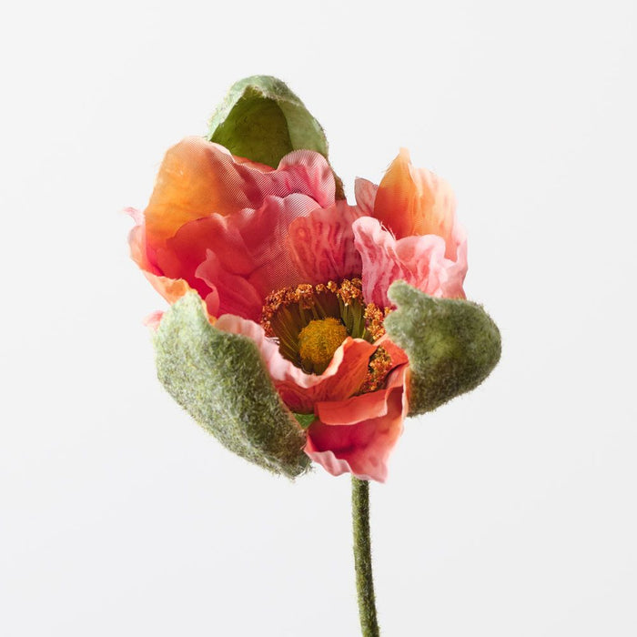 Poppy Bud Orange 79cm Pack of 12