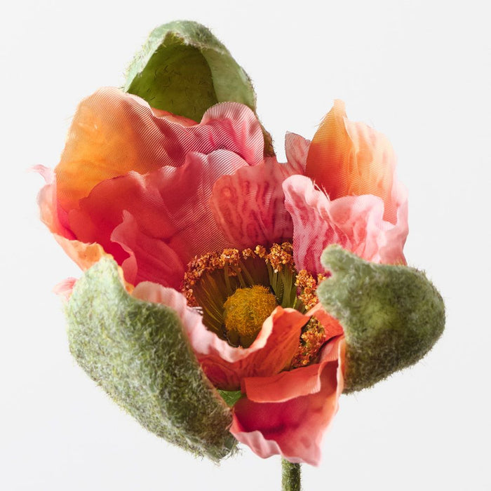 Poppy Bud Orange 79cm Pack of 12