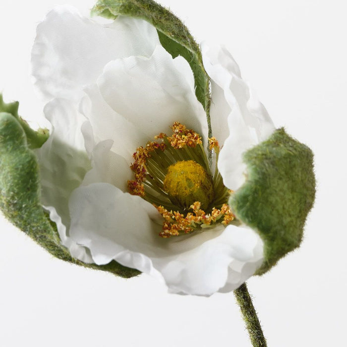 Poppy Bud White 79cm Pack of 12