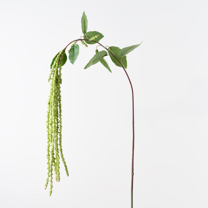 Amaranthus Spray Green 170cm Pack of 12