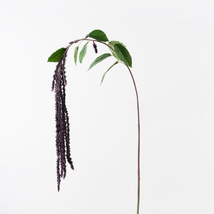 Amaranthus Spray Plum 170cm Pack of 12