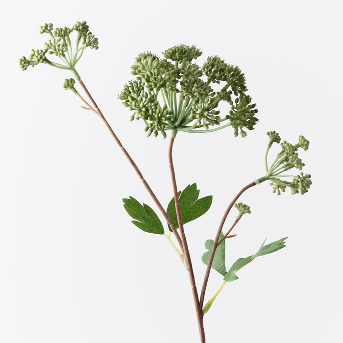 Angelica Spray Green 64cm Pack of 12