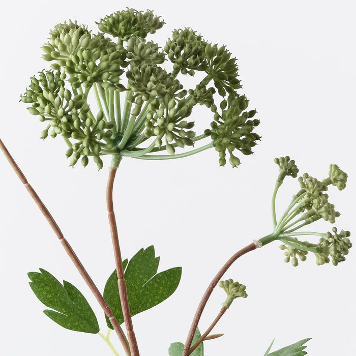 Angelica Spray Green 64cm Pack of 12