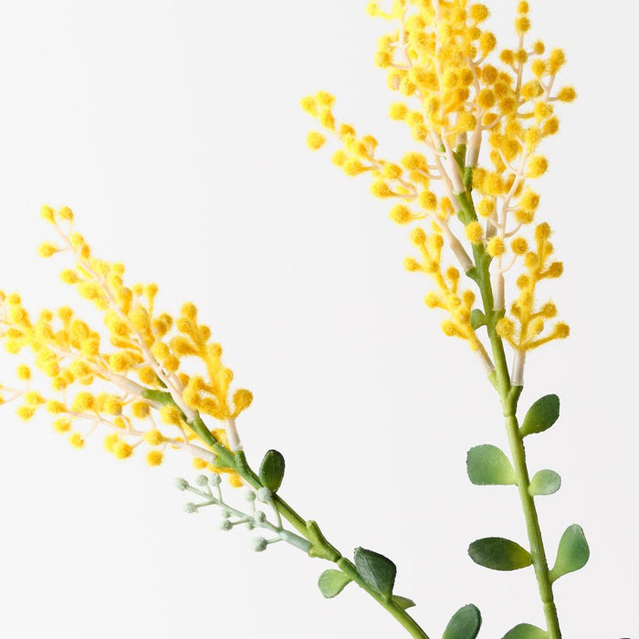 Wattle Spray Yellow 79cm Pack of 12