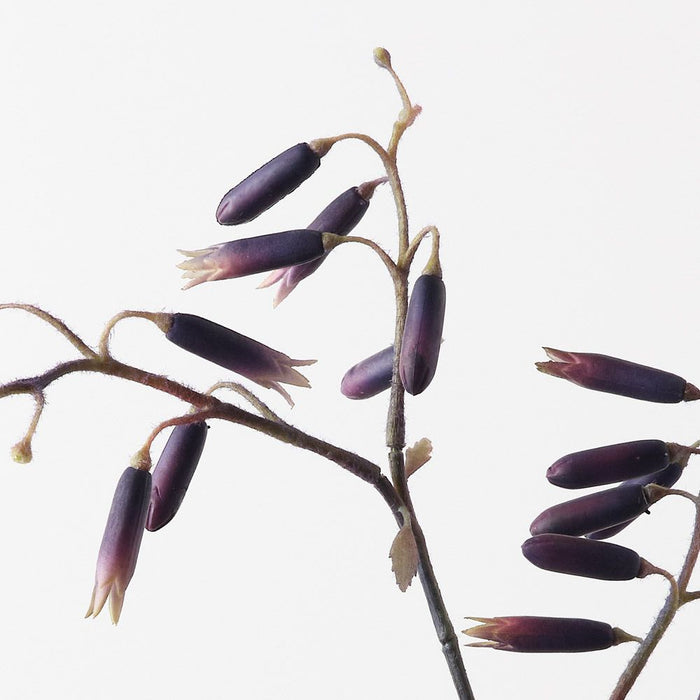Magic Bells Spray Dark Purple 101cm Pack of 12
