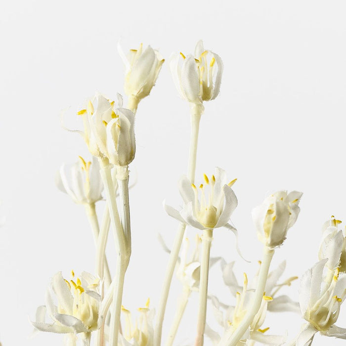 Allium White 105cm Pack of 12