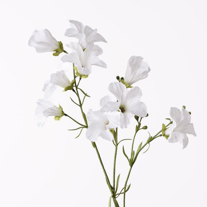 Petunia Spray Cream 90cm Pack of 12