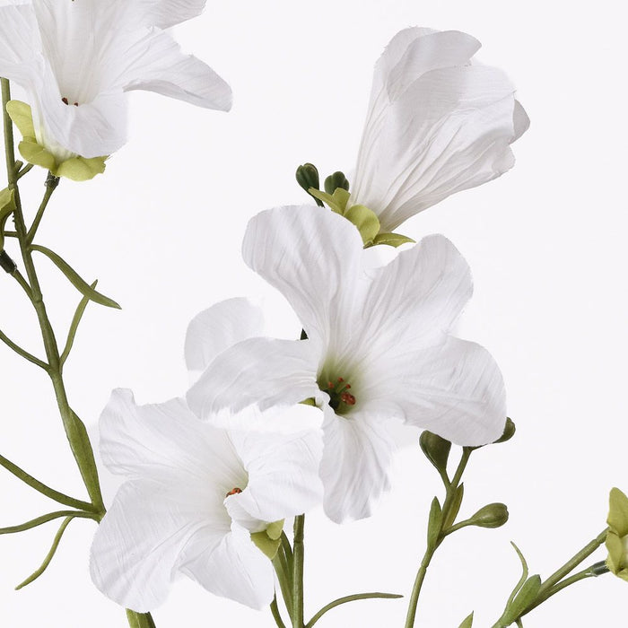 Petunia Spray Cream 90cm Pack of 12