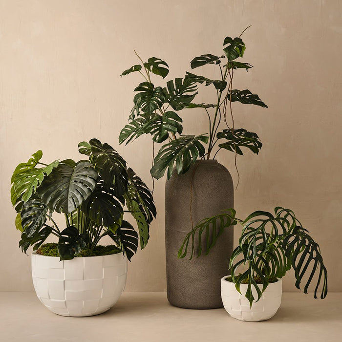 Monstera Stem Green 190cm Pack of 2